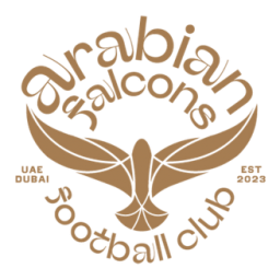 海灣聯(lián)B隊(duì)